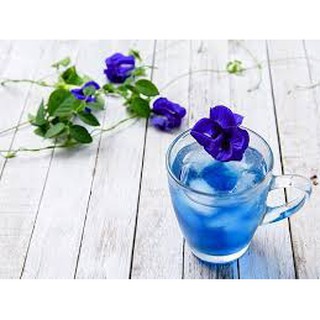 Hạt giống hoa đậu biếc (gói 20 hạt)
