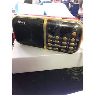 Loa Pháp Thoại Đài sony SM-123