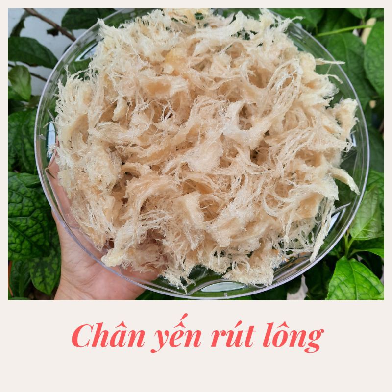 50gr chân yến sào rút lông/yến chân đã làm sạch lông - Tặng Đường phèn, Táo đỏ, Long nhãn, hạt chia