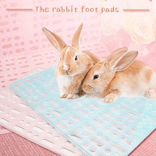 Tấm lót chuồng nhựa 🐹FREESHIP🐹 Tấm Lót Chuồng Nhựa Chống Đau Chân cho Guinea Pig (bọ ú, chuột lang), thỏ ....