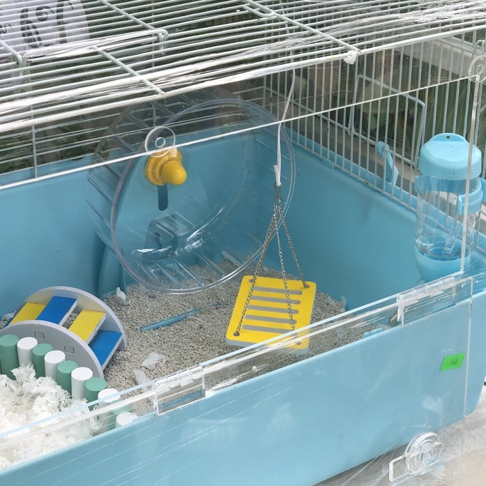 Đồ choi hamster, Xích đu treo gỗ màu NHỎ