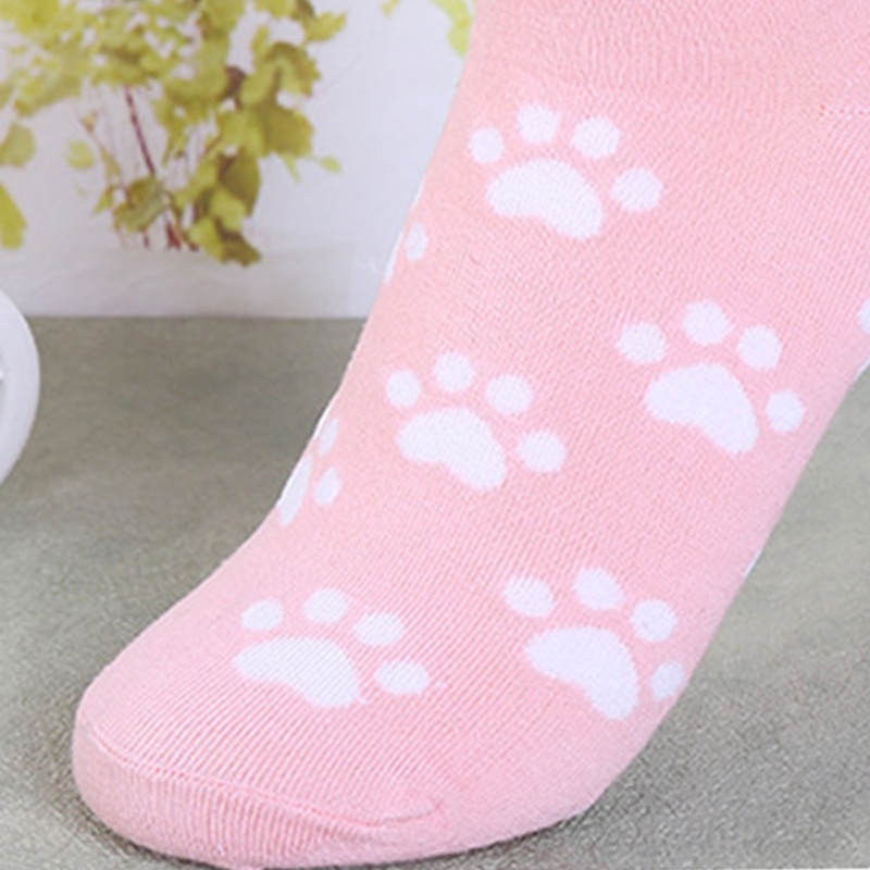 Set 5 Đôi Tất In Hình Chân Mèo 3D Dễ Thương Phong Cách Harajuku Cho Nam Và Nữ