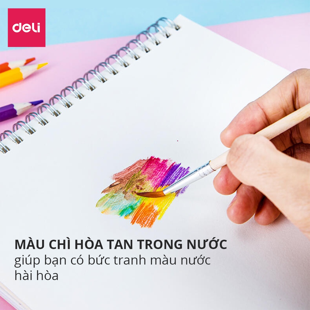 Bút chì màu nước Deli cao cấp dạng cốc 12/24/36/48 màu - 68129/ 68130/ 68131/ 68132