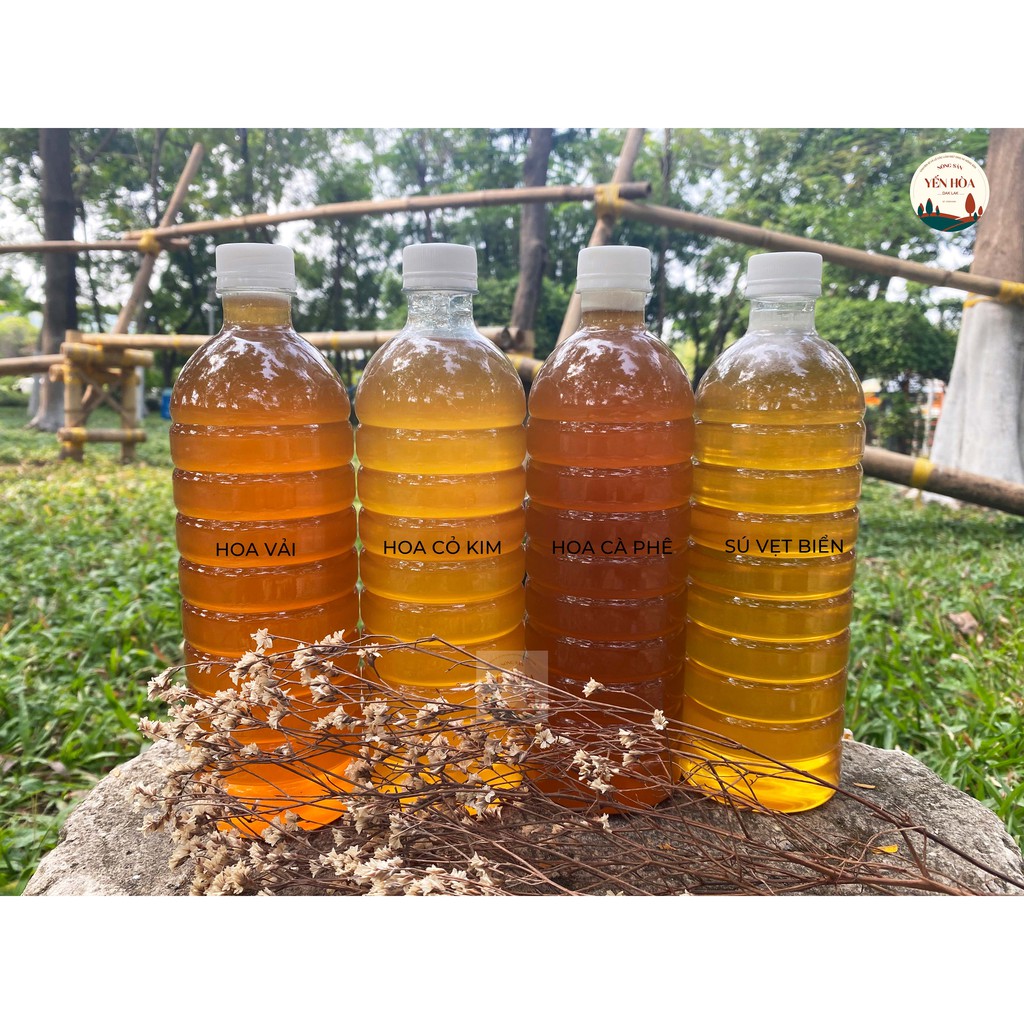 Mật ong hoa Cà Phê (1 lít ) trực tiếp từ trại ong DakLak | BigBuy360 - bigbuy360.vn