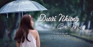 Ô dù trong suốt( sỉ ib)