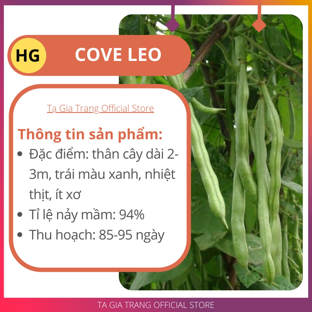 Deal 1K - 5 Hạt giống đậu cove leo (hạt nâu) - Tập làm vườn cùng Tạ Gia Trang