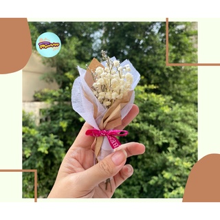 [Sỉ] 30 Bó hoa khô mini trang trí, decor