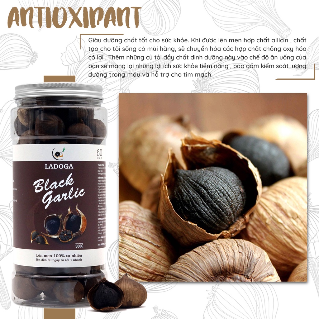 【Combo 3】Tỏi đen cô đơn LADOGA đóng 3 túi hoặc 3 hộp 500G dùng ổn định huyết áp, tim mạch, mỡ máu, tiểu đường -1500 Gam
