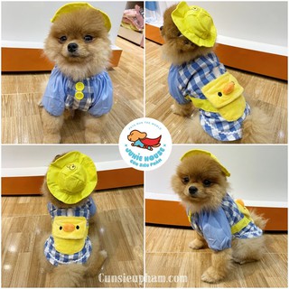 Set áo kèm mũ vịt vàng cho chó mèo