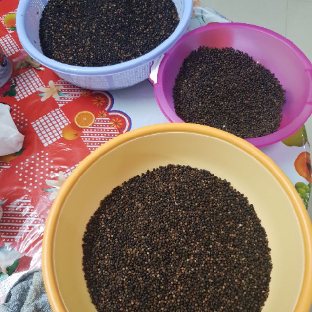 Tiêu Hồng Phú Quốc