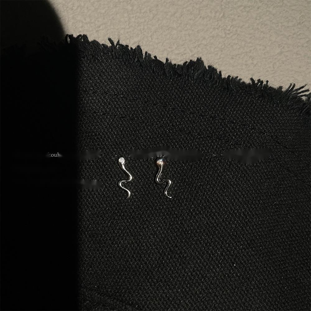 Khuyên Tai Hình Rắn Thời Trang Cá Tính