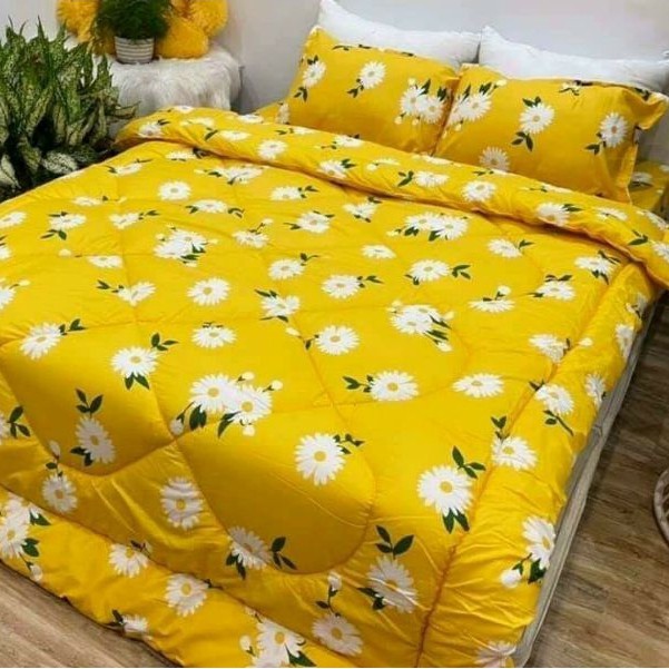 Trọn bộ 5 món chăn phao trần bông ga chun vỏ gối poly cotton mẫu mới