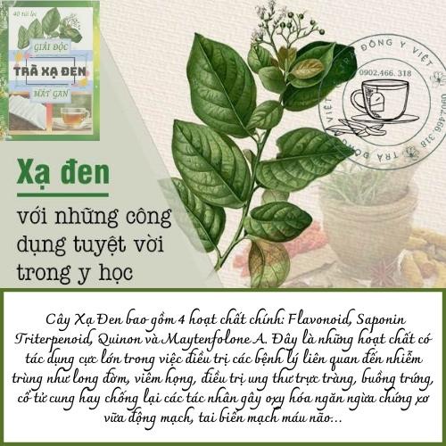 Trà Xạ Đen - 40 Túi Lọc, Hỗ Trợ cải thiện Ung Thư, Giảm Xơ gan - Trà Đông Y Việt
