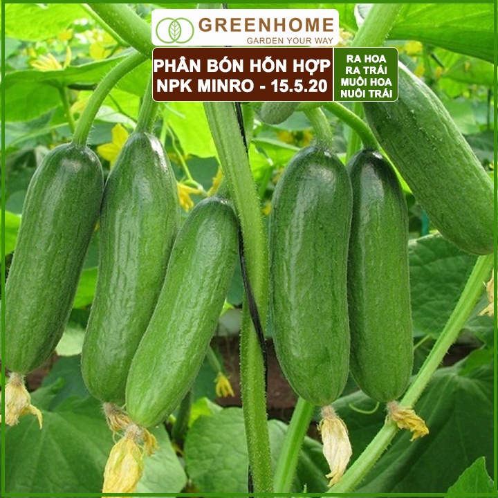 Bộ 2 Phân NPK 15-5-20 Minro, bao 200gr, phân bón kích ra hoa, đậu trái, nuôi hoa, nuôi trái |Greenhome