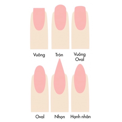 Nailbox-Móng tay thiết kế tự gắn tại nhà 03