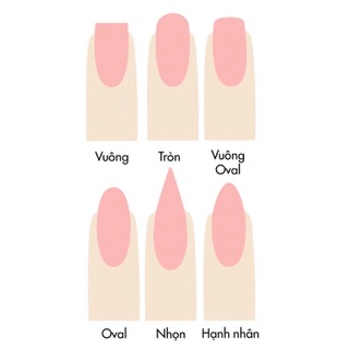 NAILBOX - Móng up thiết kế ( inb shop để shop hd cách đo size móng ạ )
