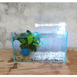 Bể cá mini 24 cm với 4 món (bể, sỏi nền, đèn led, ráy thủy sinh)