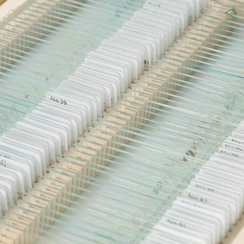 Set 100 tiêu bản động vật côn trùng cây trồng cho kính hiển vi với hộp đựng bằng gỗ giáo dục sinh học cơ bản
