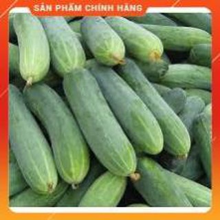 hạt giống dưa leo xanh f1