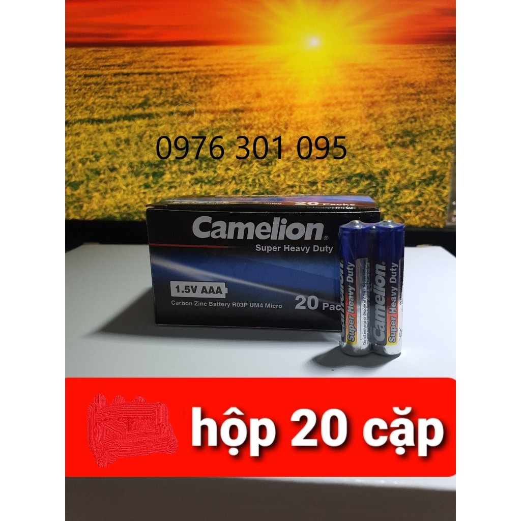 [CAMELION] Pin AA, AAA, Vuông 9V Thông Dụng (Hộp)