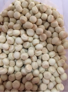 Bánh bột sữa dành cho hamster