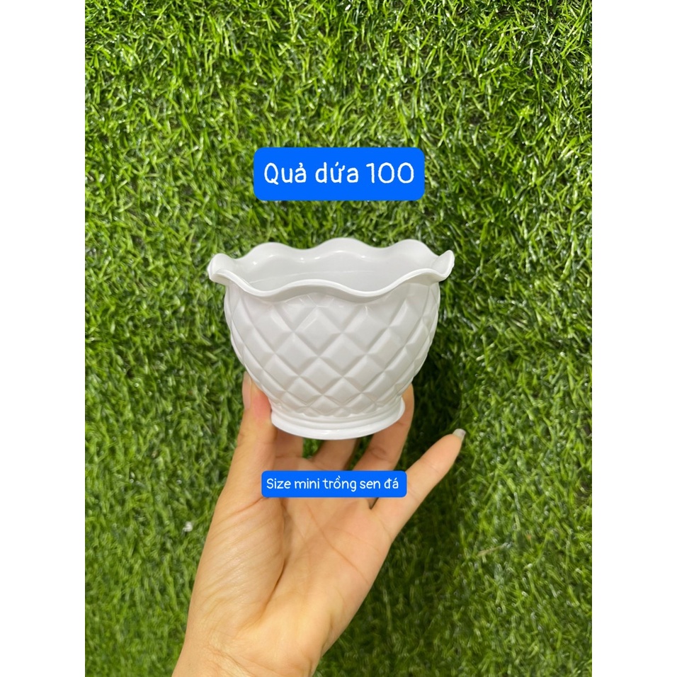 Chậu nhựa quả dứa để bàn 10- 27cm nhựa dày cao cấp