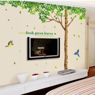 Decal dán tường cây lớn cỡ đại Kích thước hình dán: Chiều rộng 330cm, Chiều dài 200cm.