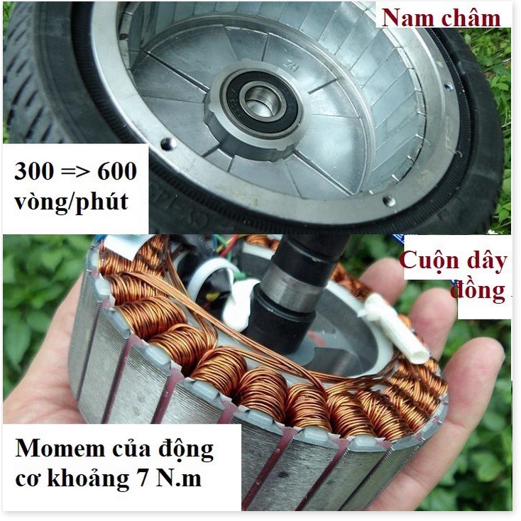Động cơ phát điện công suất lớn 14v, 36v, 60v tới 1000w