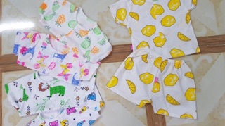 Set 5 bộ hoa quả cho bé yêu