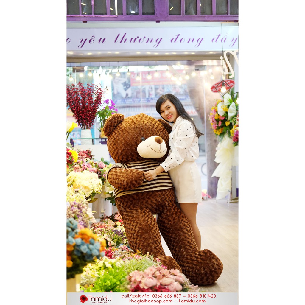 Gấu Teddy 1M Giá Siêu Rẻ