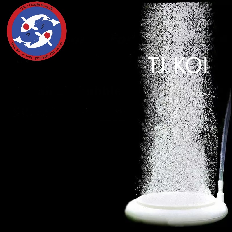 Đĩa sủi nano  oxy siêu mịn 5cm-10cm-20cm  dành cho hồ cá cảnh, hồ thủy sinh