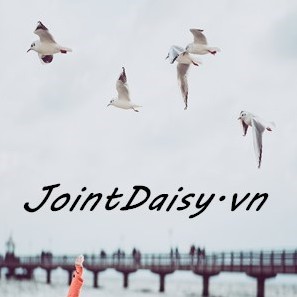 jointdaisy.vn