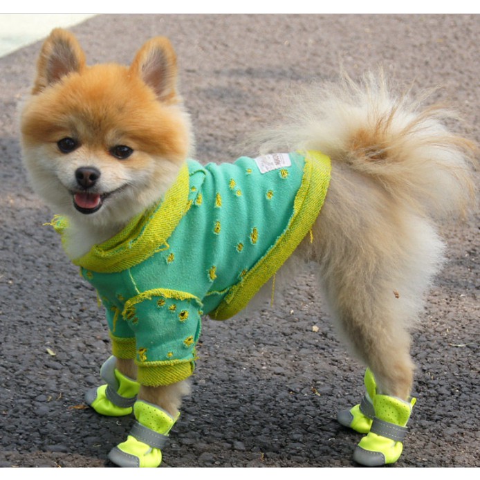 Giày Thể Thao Đế Mềm Thoáng Khí Họa Tiết Gấu Teddy Phản Quang Dễ Thương