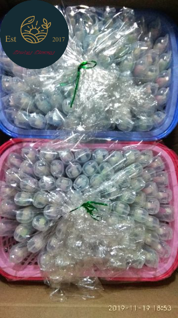 (CÔNG NGHỆ THÁI) Bàn chải siêu mềm Suwadee Giỏ Móc Treo