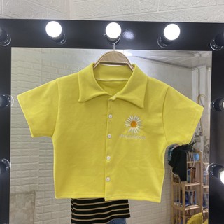 Áo croptop hoa cúc