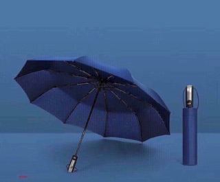 Ô tự động xuất nhật bản
