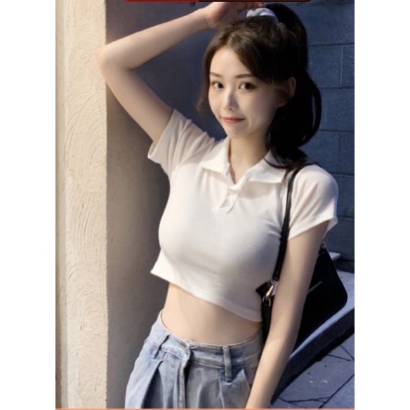 Áo polo nữ cổ đức cotton PL01 Minttea, co giãn 4 chiều freesize | BigBuy360 - bigbuy360.vn