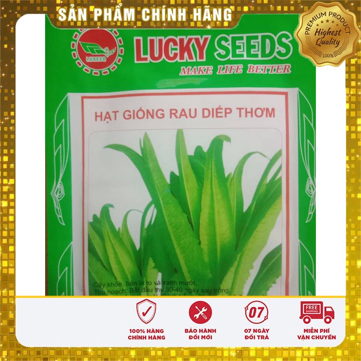 Hạt giống rau diếp thơm - 5gr