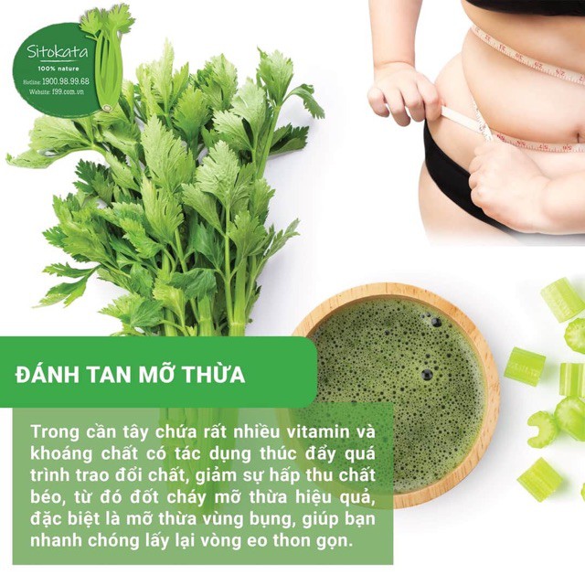 Bột cần tây Sitokata chính hãng (1 hộp 20 gói 100gr) tặng 1 bình nước+ cẩm nang làm đẹp