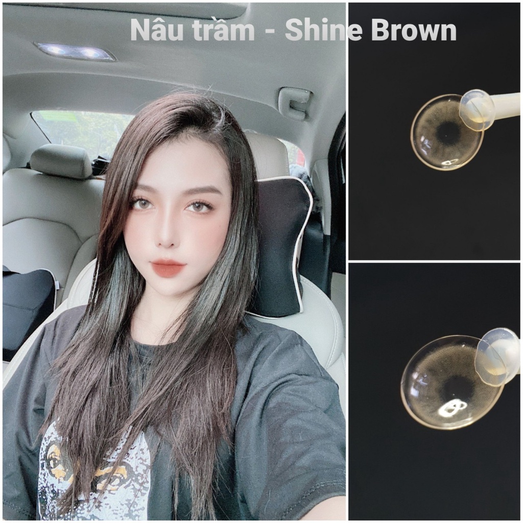 Lens Hàn Quốc Blue Eyes - SHINE BROWN - Lens thời trang hot màu nâu trà sữa - Kính áp tròng Made in Korea