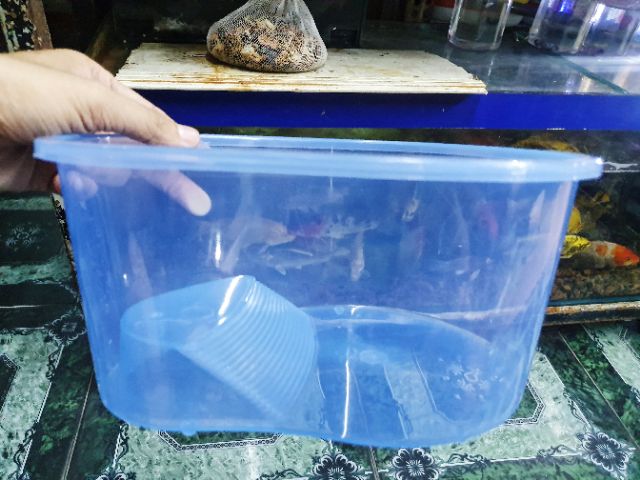 BỂ NUÔI RÙA BABA THÚ CƯNG 26X20X13CM