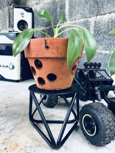 Kệ cây mini để bàn  dùng để bàn làm việc - bàn ăn cao 10cm