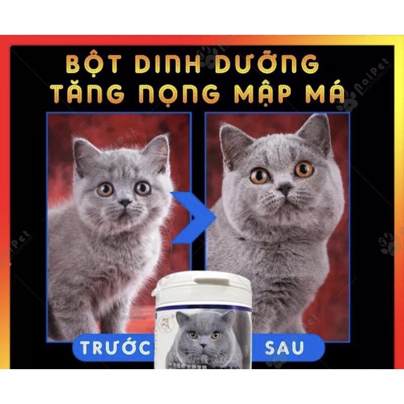 Dinh Dưỡng Làm Tăng Nọng Má Cho Mèo Cao Cấp