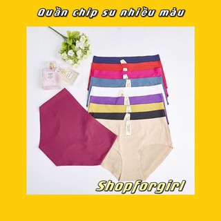 Quần chip su nhiều màu (ngâu nhiên màu)-shopforgirl