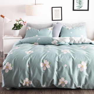Bộ chăn ga cotton 6s