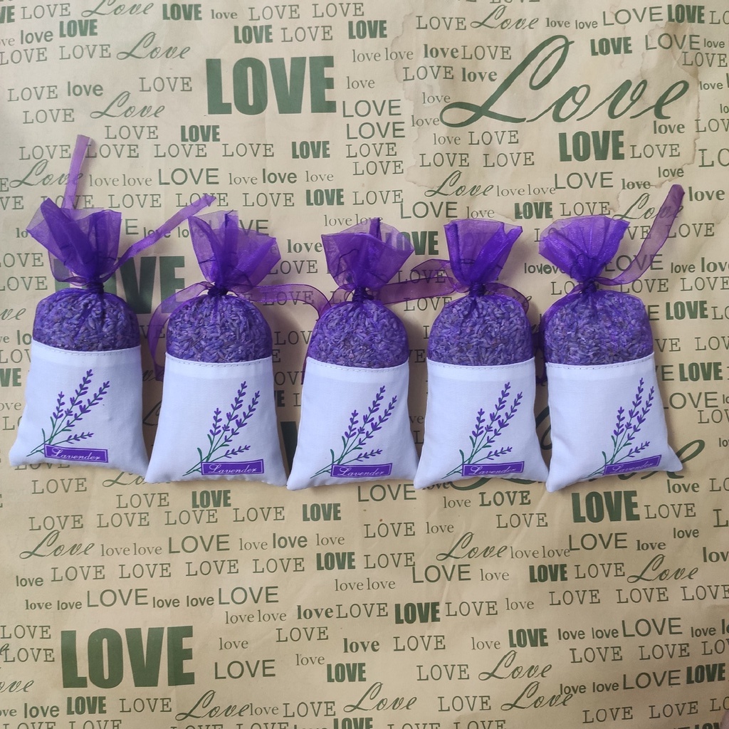 nụ hoa oải hương lavender khô