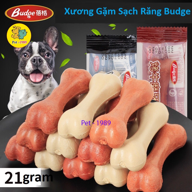 Xương gặm sạch răng Budge cho Chó 21gr/bịch Pet-1989