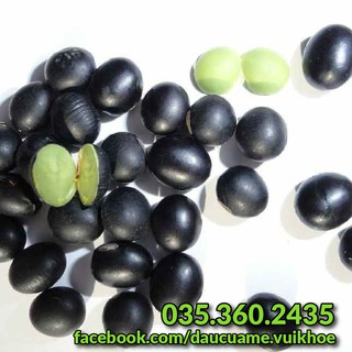 [ 1kg ] Đậu đen xanh lòng, đậu quê lựa sạch