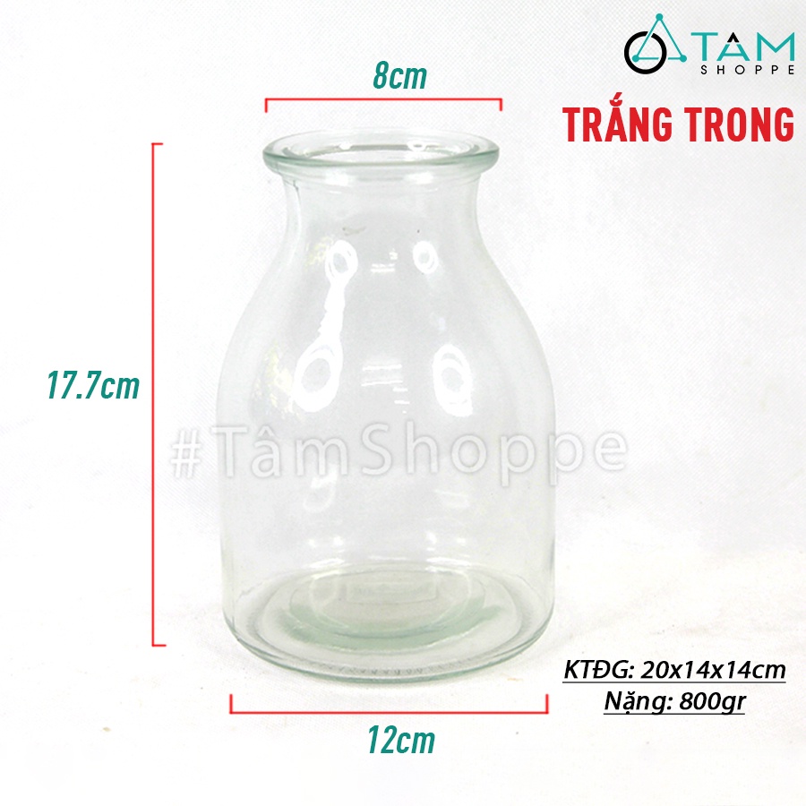 Lọ hoa thủy tinh trong suốt vại bom nhiều màu LHTT-66