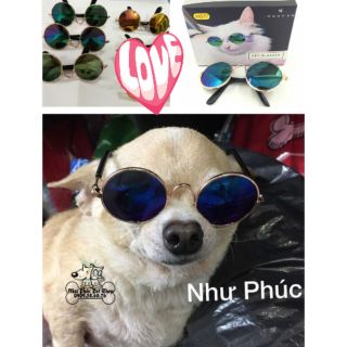 🐶🐱 Mắt kính mini gọng tròn cho chó mèo